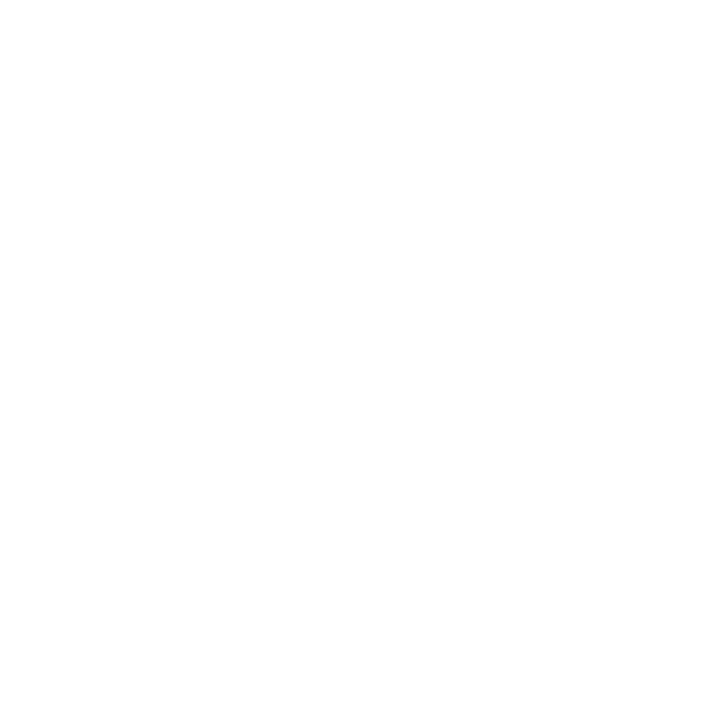 ALSOP COMPANIES